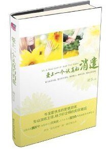 爱上一个认真的消遣/同船渡（出书版）