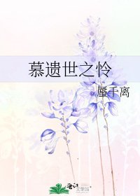 慕遗世之怜