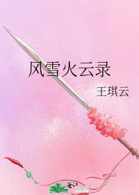 《風雪火雲錄》