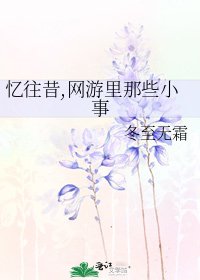 忆往昔,网游里那些小事