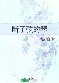 《斷了弦的琴》