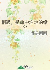 《相遇,是命中注定的缘分》