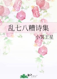 《亂七八糟詩集》