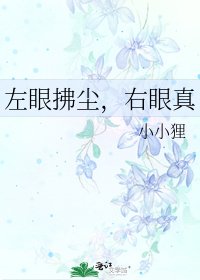 《左眼拂尘,右眼真》