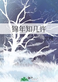 《锦年知几许》