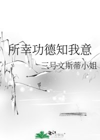 《所幸功德知我意》