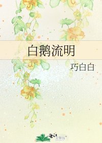 《白鹅流明》
