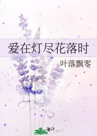 《爱在灯尽花落时》