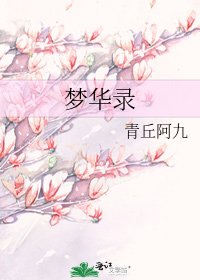 《梦华录》