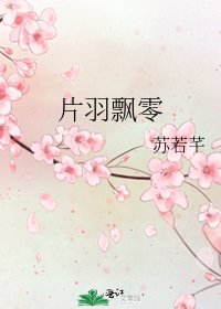 《片羽飘零》