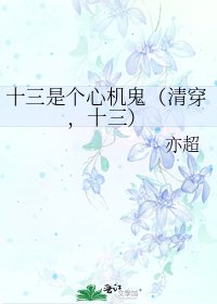 十三是个心机鬼(清穿,十三)