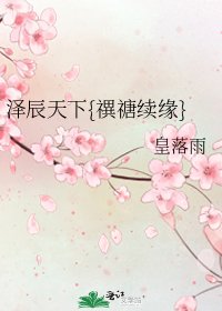 《泽辰天下{禩禟续缘}》