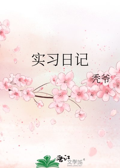《实习日记》