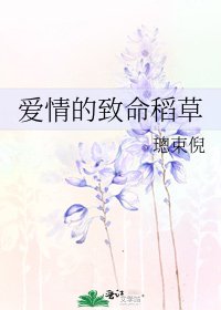 《爱情的致命稻草》