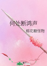 《何处断鸿声》