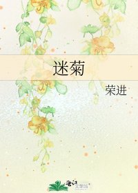 《迷菊》