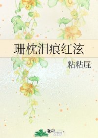 《珊枕淚痕紅泫》