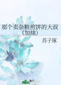 《那個賣雜糧煎餅的大叔(加續)》