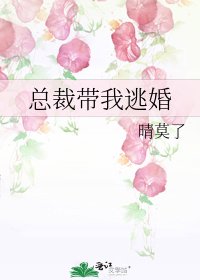 《总裁带我逃婚》