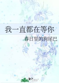 我一直都在等你