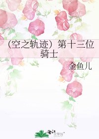 《(空之軌跡)第十三位騎士》