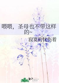 《喂喂,聖母也不帶這樣的~》