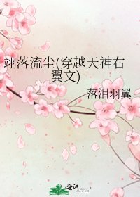 《翊落流塵(穿越天神右翼文)》