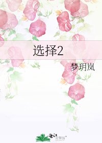 《选择2》