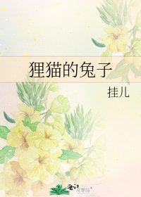 狸猫的兔子