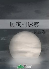顾家村迷雾