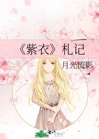 紫衣