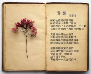 《像一記感嘆號》