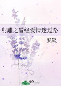 《射雕之曾经爱情迷过路》