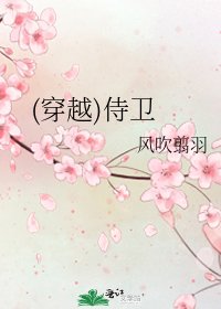 《(穿越)侍卫》