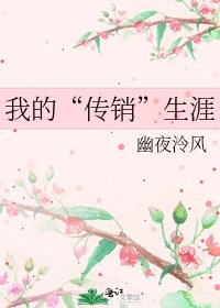 《我的“传销”生涯》