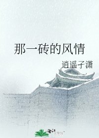 《那一磚的風情》