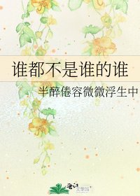 《谁都不是谁的谁》