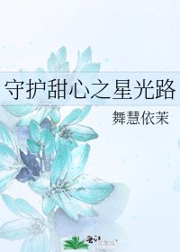 守护甜心之星光路