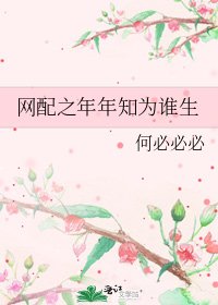 网配之年年知为谁生