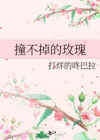 《撞不掉的玫瑰》