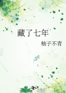 《藏了七年》