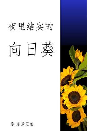 夜裡結實的向日葵