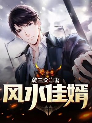 《風水佳婿》