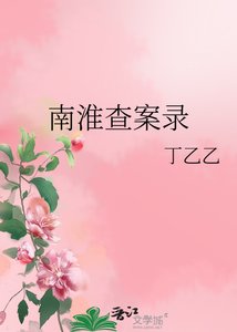 《南淮查案錄》