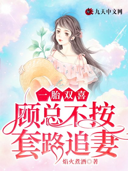 《一胎雙喜:顧總不按套路追妻》