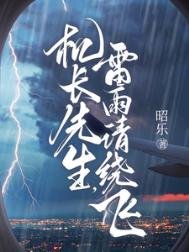 《機長先生,雷雨請繞飛》