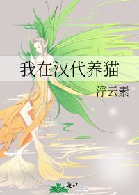 我在漢代養貓