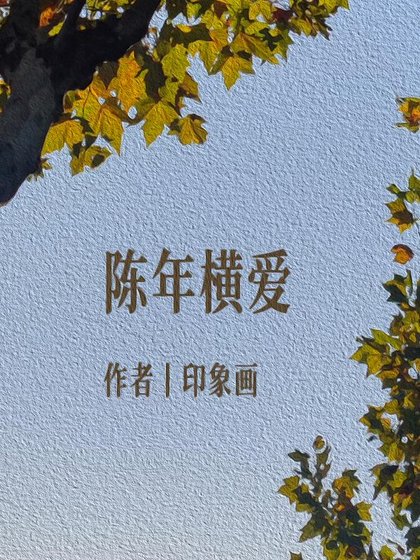 《陈年横爱》
