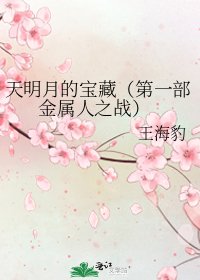 天明月的宝藏(第一部 金属人之战)