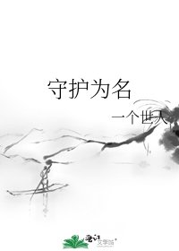 《守护为名》
